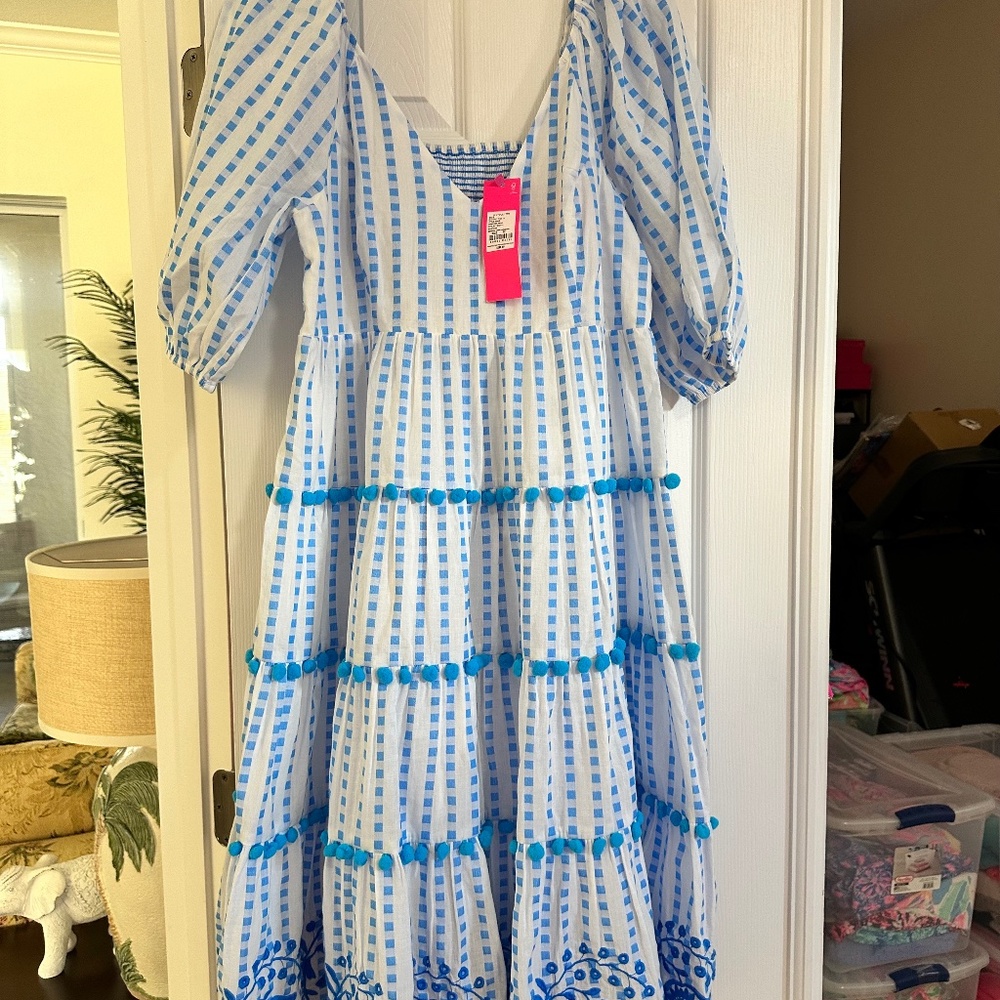 NWT  Beautiful Lilly Pulitzer Dress